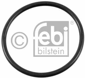 O-Ring für Thermostat