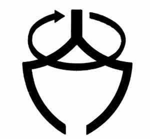 SWF Symbol