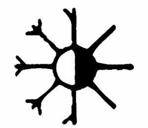 SWF Symbol