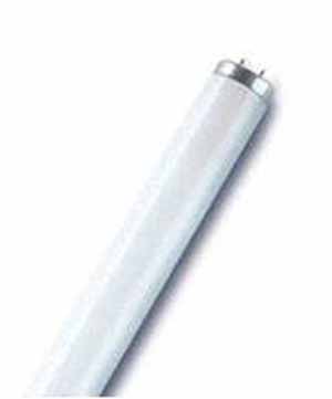 Zündkerze NGK
