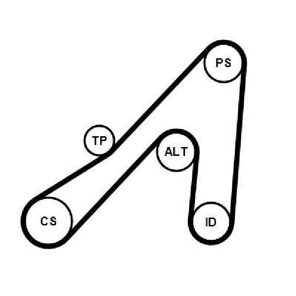 Keilrippenriemensatz 