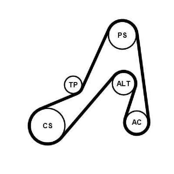 Keilrippenriemensatz 