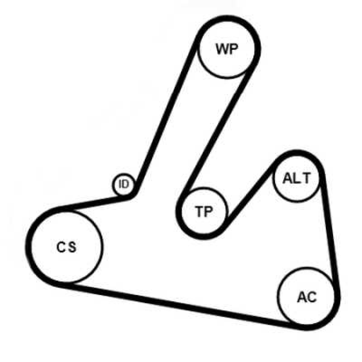 Keilrippenriemensatz 