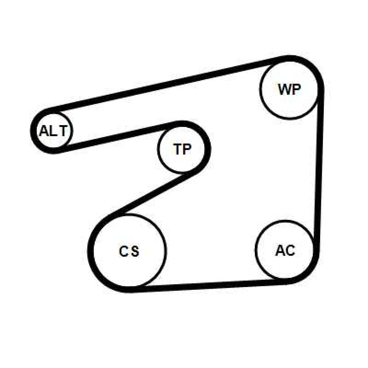 Keilrippenriemensatz 