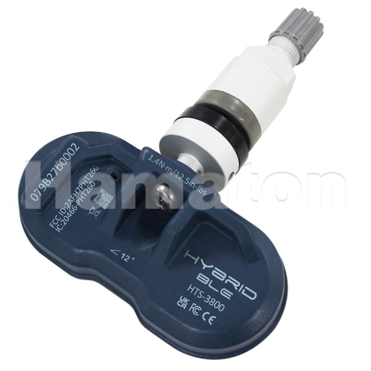 Reifendrucksensor EU-Pro Hybrid Tesla
