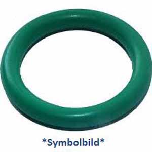 O-Ring f. Absperrventil TM31